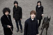 The Bawdies