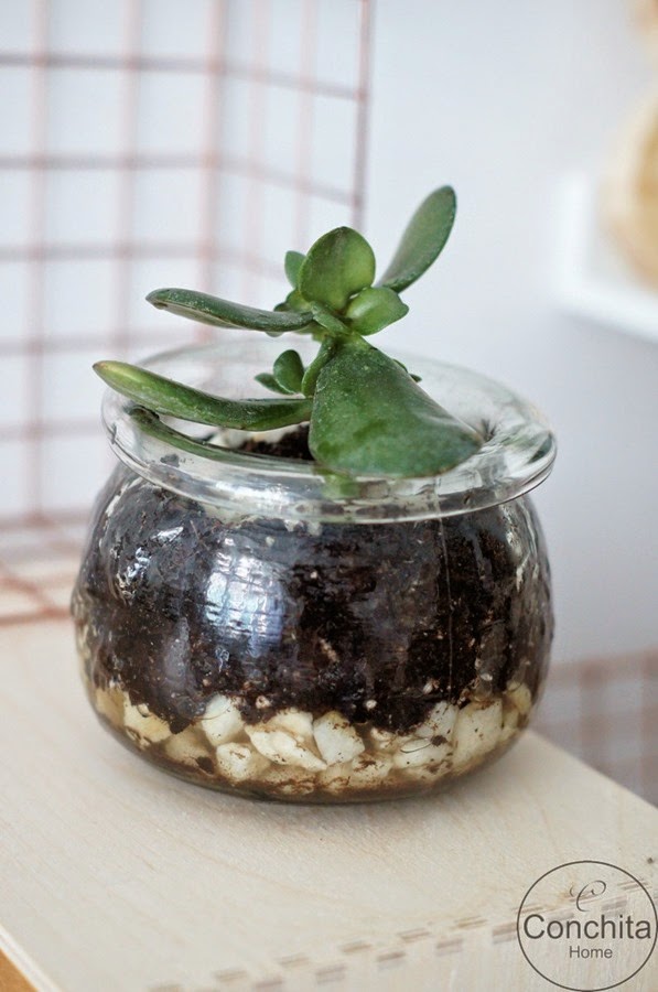 [DSC03875-Kopiowanie4.jpg]