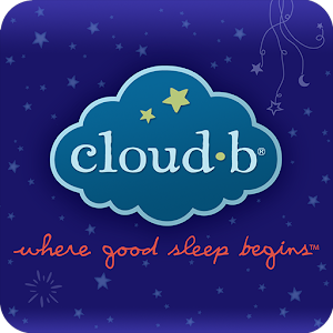 Cloud b Premium logo