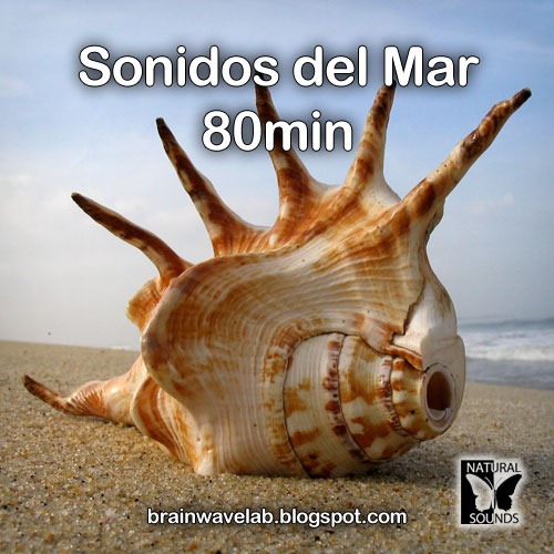 [Sonidos-del-Mar---80min%255B5%255D.jpg]