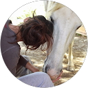 Image Google de stellou stellou
