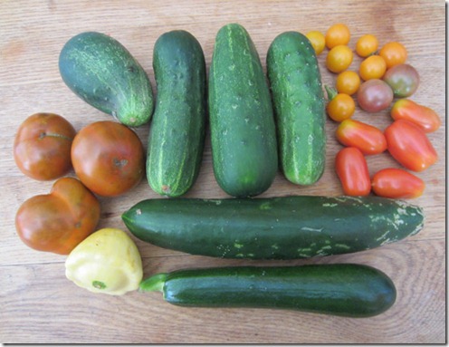 Black Krim tomatoes, cukes, and assorted cherry tomatoes