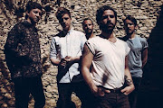 Foals