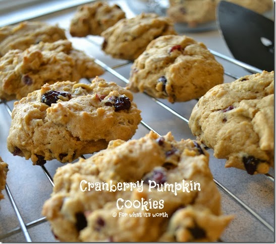 Holiday inspired cranberry pumpkin cookies