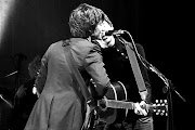 The Last Shadow Puppets