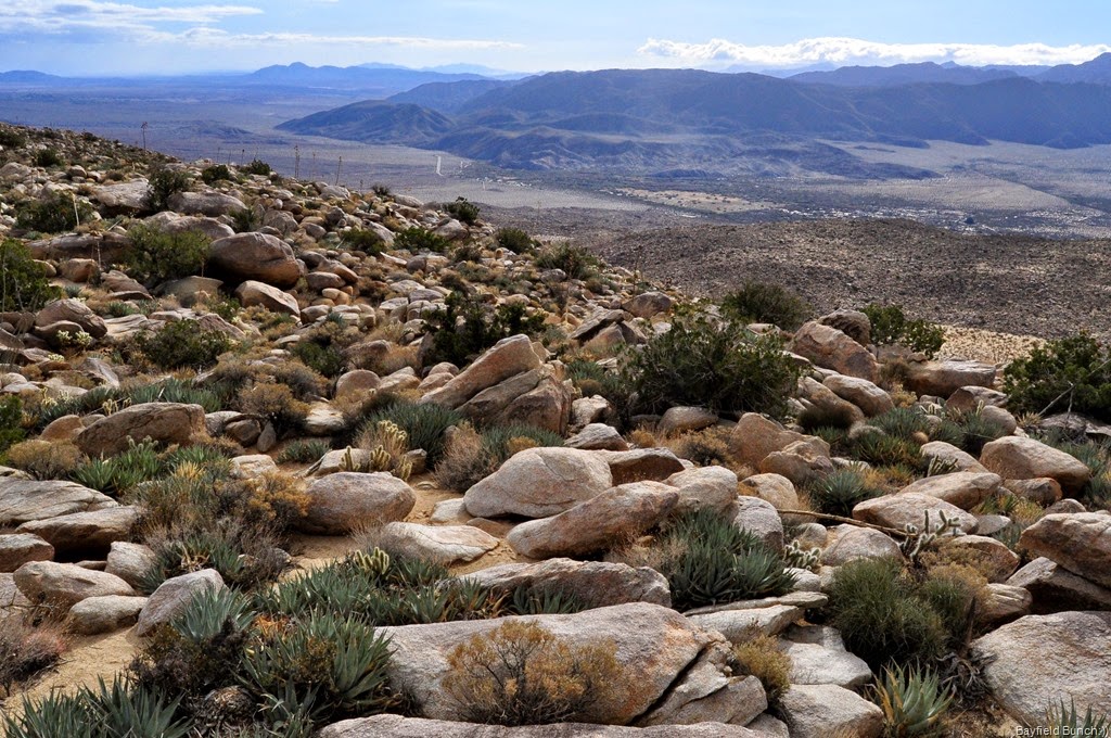 [DSC_0064%255B3%255D.jpg]