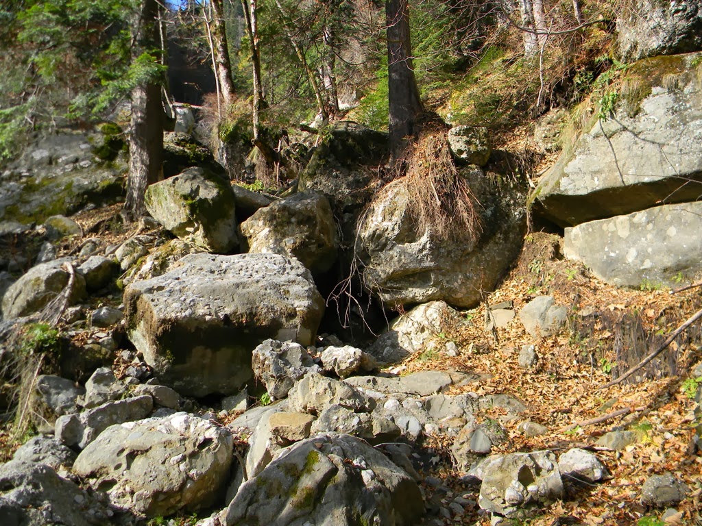 [DSCN75633.jpg]