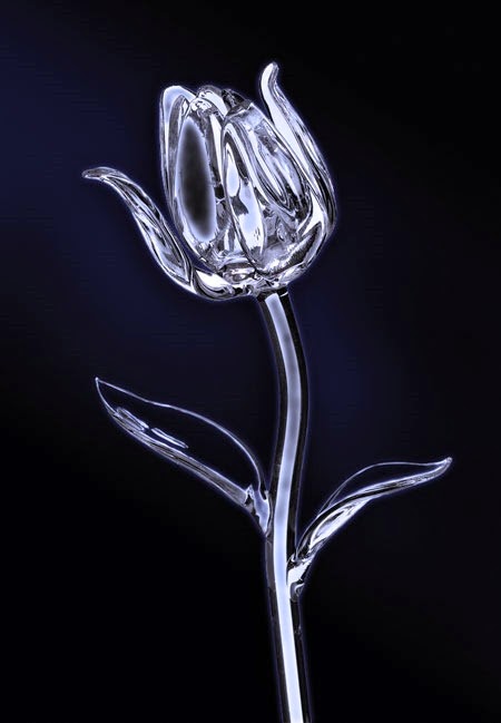 [crystal-tulip245jg42.jpg]