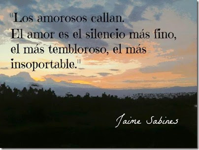 FRASES AMOR AIRESDEFIESTAS COM (12)