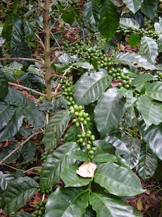 DSCN9141.JPG