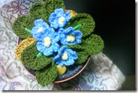 Crochet African Violets 4