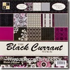 dcwv black currant stack-200