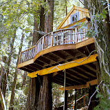 casa-arbol2.jpg