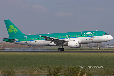 Aer Lingus.jpg