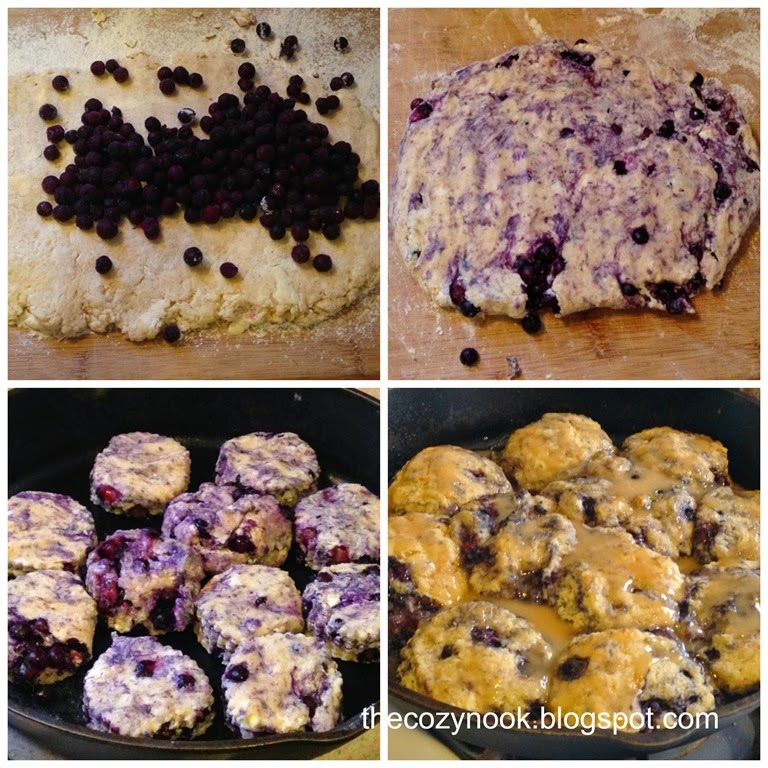 [Blueberry%2520Biscuits%2520%255B3%255D.jpg]