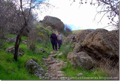 7528 La Goleta-Tejeda(Camino Tejeda) 7528 La Goleta-Tejeda(Camino Tejeda)