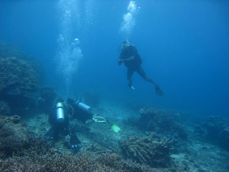 Iunia Pasca: Diving in Oceanul Indian