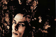 Peter Murphy