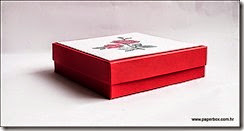 Kutija za razne namjene - Geschenkverpackung a (5)