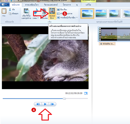 software windows live movie maker snapshot step 2