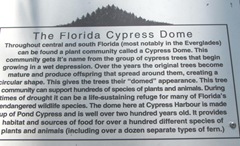 Florida Marriott Cypress Harbour cypress tree sign