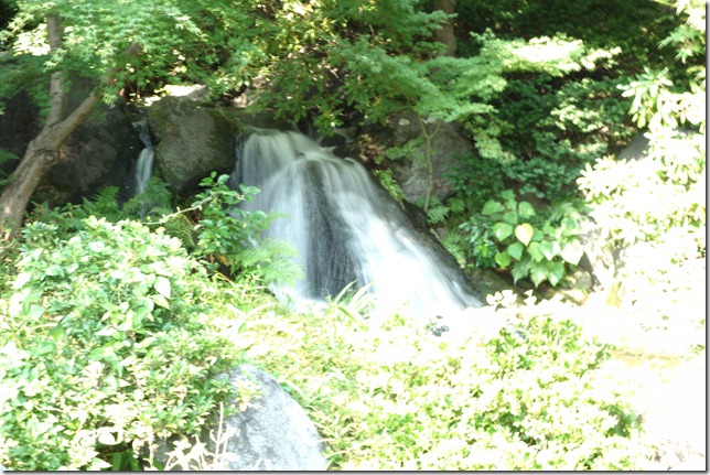 r-DSC00985 r-DSC00985