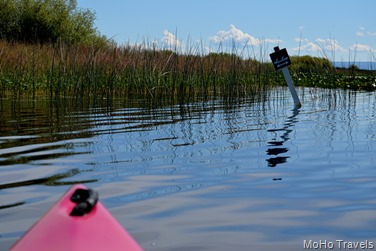 Crystal Creek Kayak (33)