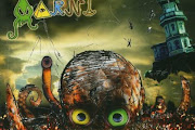 Aarni