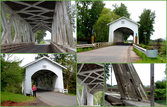 Gilkey Covered Bridge near Skio