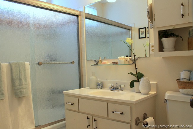 Delta Shower Door & Bathroom Makeover via homework - carolynshomework (7)