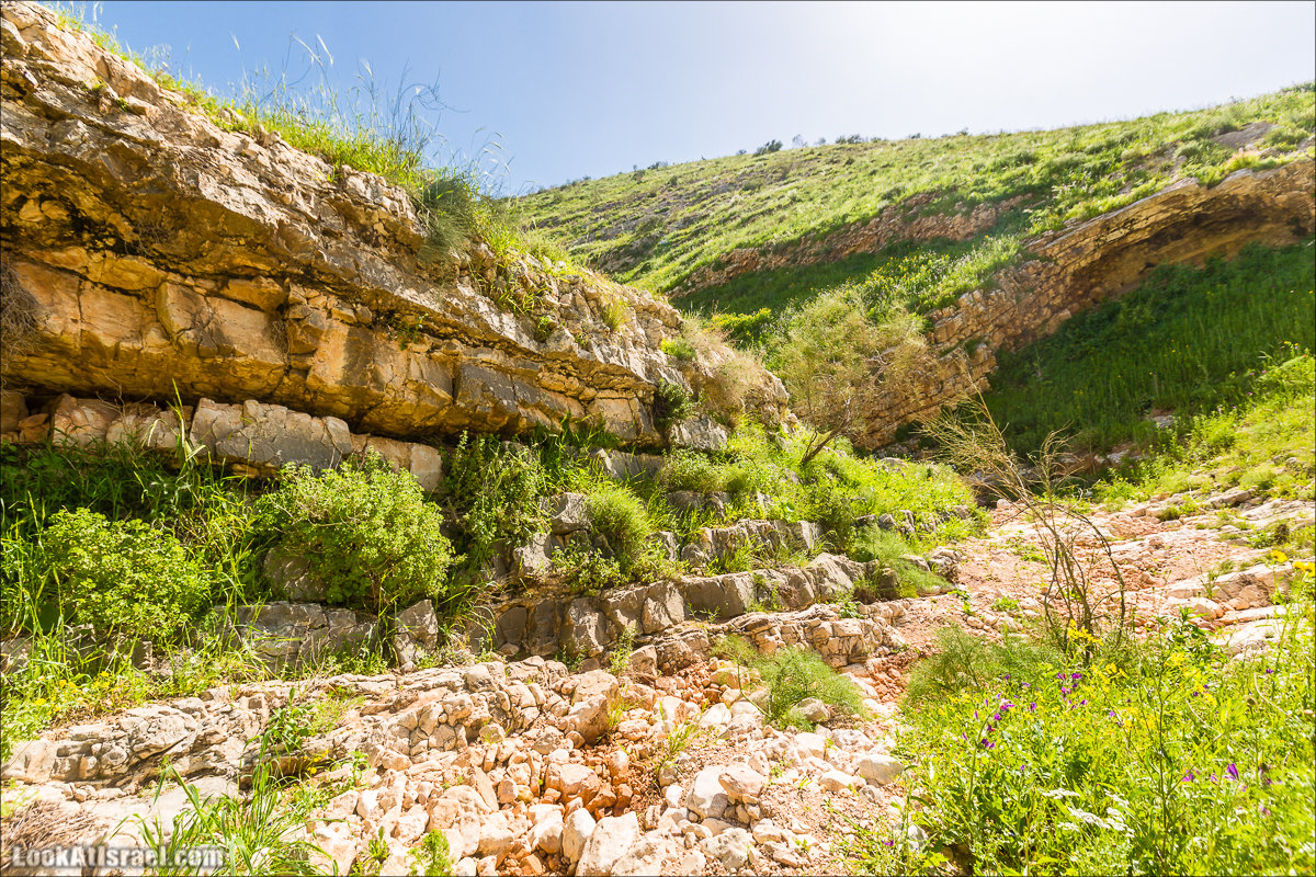 LookAtIsrael.com - Ручей (нахаль) Талкид | Nahal Talkid | נחל תלקיד