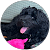 A Brooks A Brooks