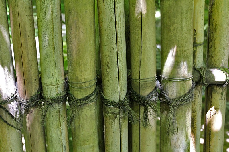[100726_Portland_Japanese_Garden_bamboo_fence_detail.jpg]