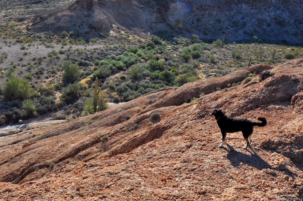 [DSC_0037%255B7%255D.jpg]