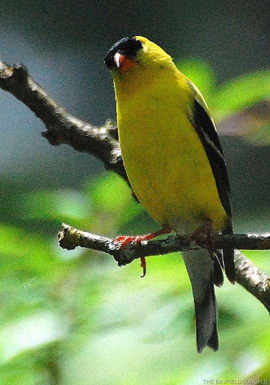 [DSC_96111%255B1%255D.jpg]