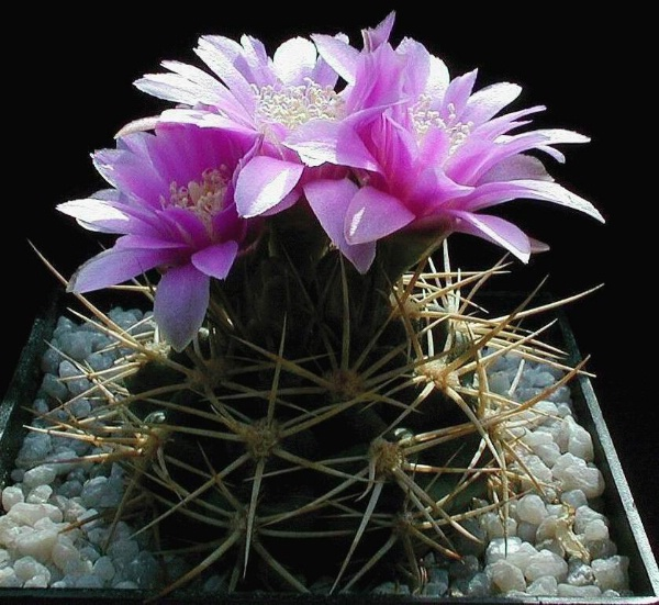 [image%255B45%255D.png]