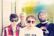 Deer Tick