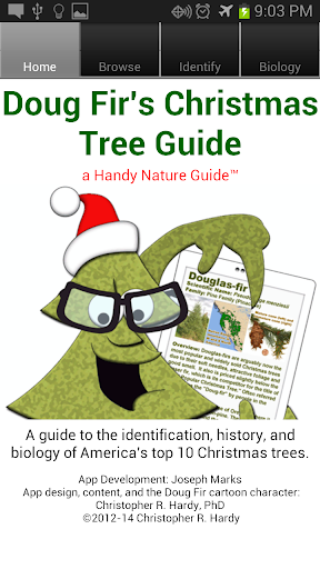Doug Fir Christmas Tree Guide