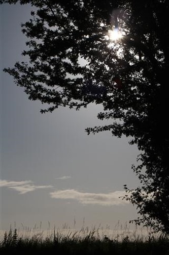 20100621 (4) (Small)