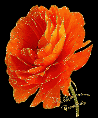 Lu.Animation20120824-092611.gif