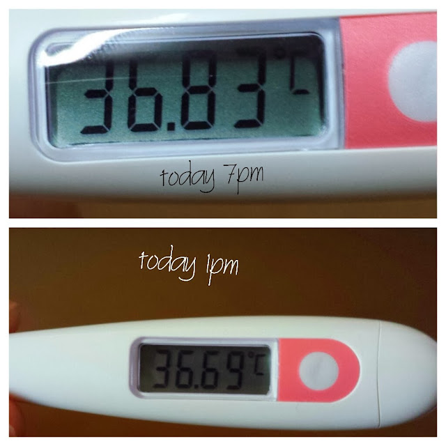 Waiting For Our Little Sprouts Temp Is Too High Or Normal Or Just My Anxiety 