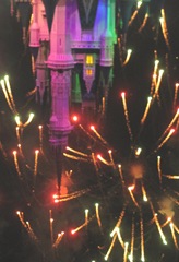 Disney trip fireworks near castle 3