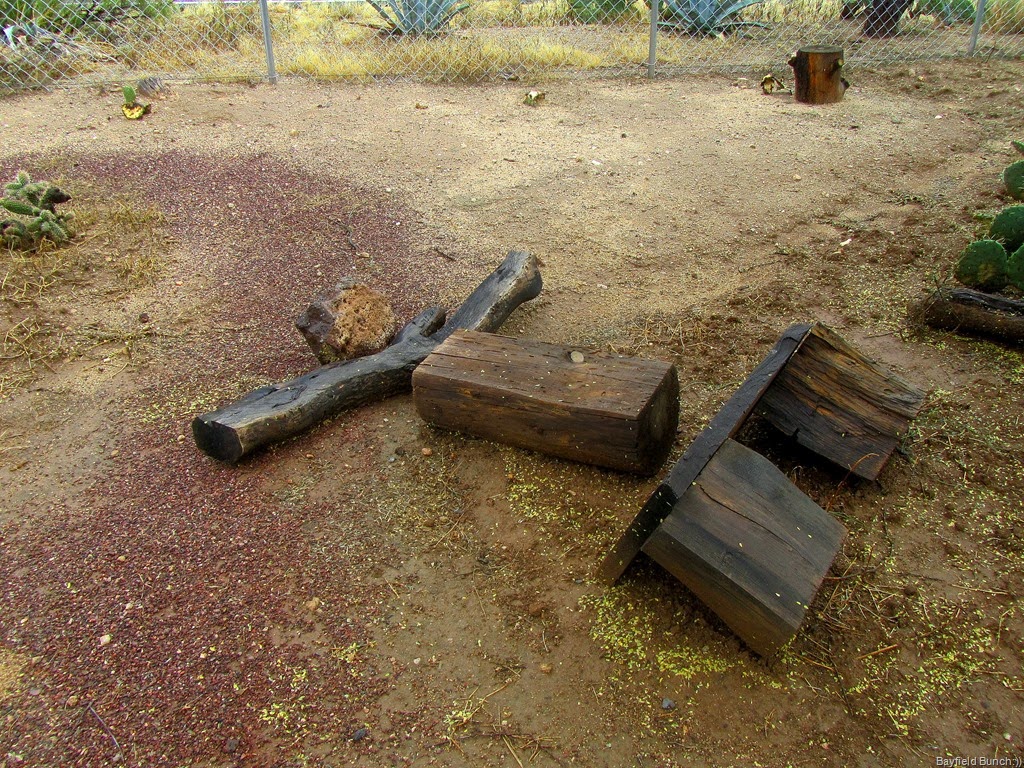 [IMG_1786%255B3%255D.jpg]