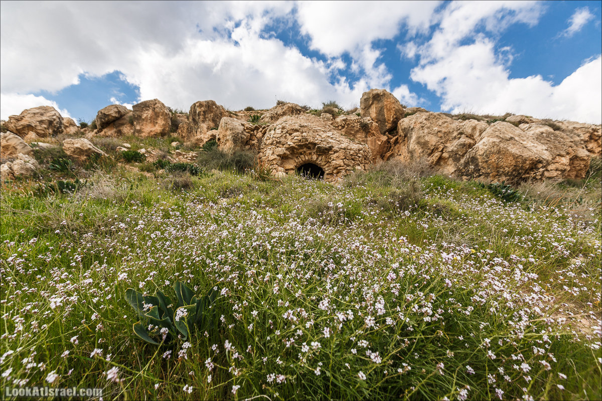 LookAtIsrael.com - Ущелья Харитона и Суккийская лавра в ущелье Ткоа | Wadi Tekoa and Hariton Cave | נחל תקוע מערת חריטון