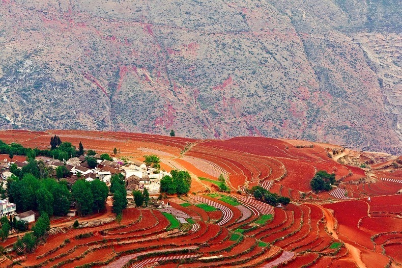 dongchuan-red-soil-9