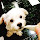 annietr0404