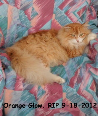 [Orange-Glow-RIP.9.18.2012%255B4%255D.jpg]