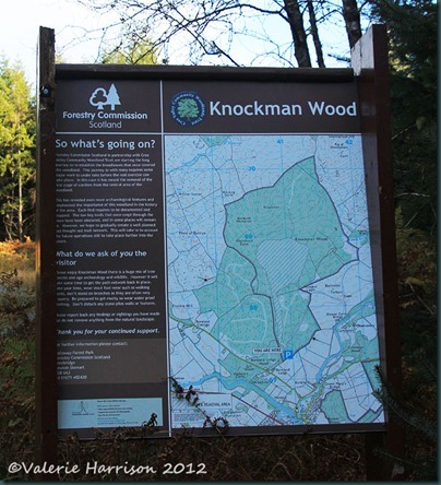 2-Knockman-Wood-sign
