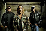 Iggy & The Stooges