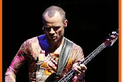 Flea